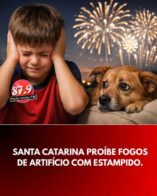 Santa Catarina proíbe fogos de artifício com estampido