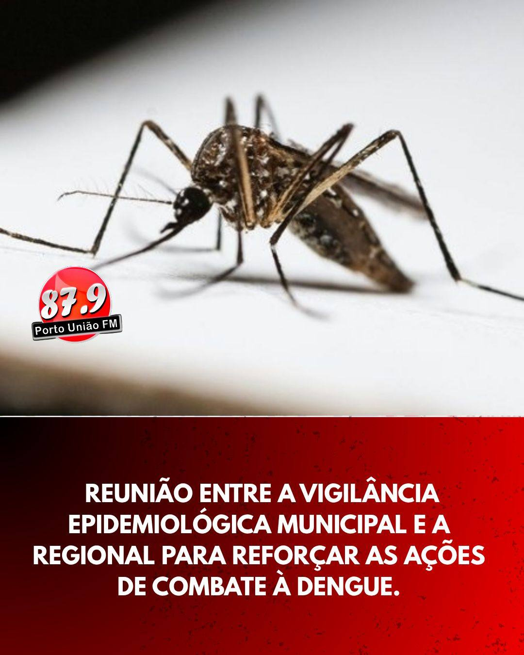 A Porto União intensificou as ações de combate à dengue após a confirmação do primeiro caso da doença no município desde 2025.