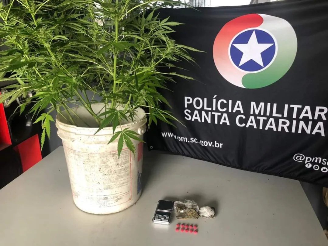 VASO DE FLÔR QUE NÃO SE CHEIRA É LOCALIZADO PELA POLÍCIA MILITAR QUE PRENDE HOMEM POR TRÁFICO DE DROGAS