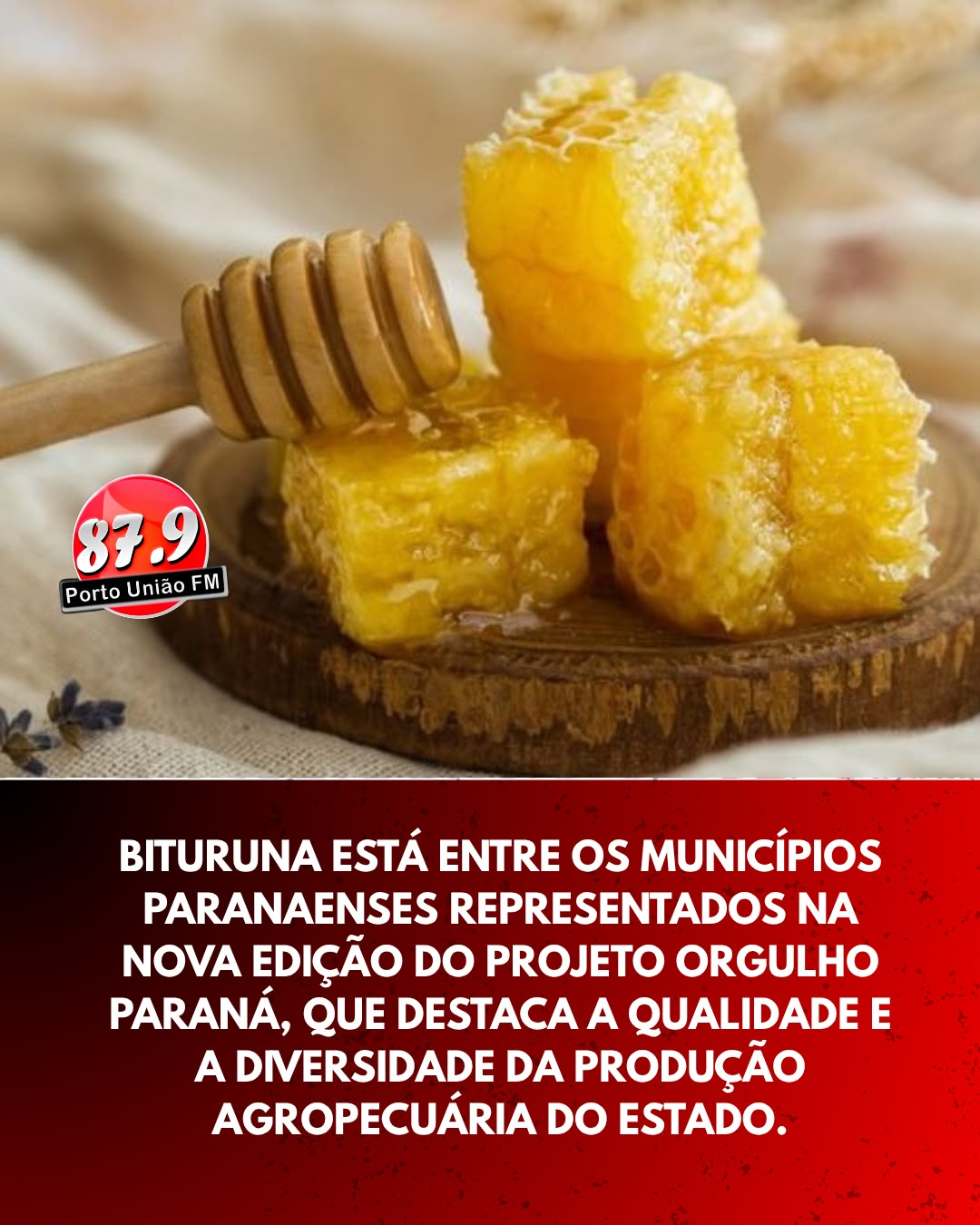 ​Bituruna ganha destaque nacional em vitrine que valoriza a apicultura paranaense