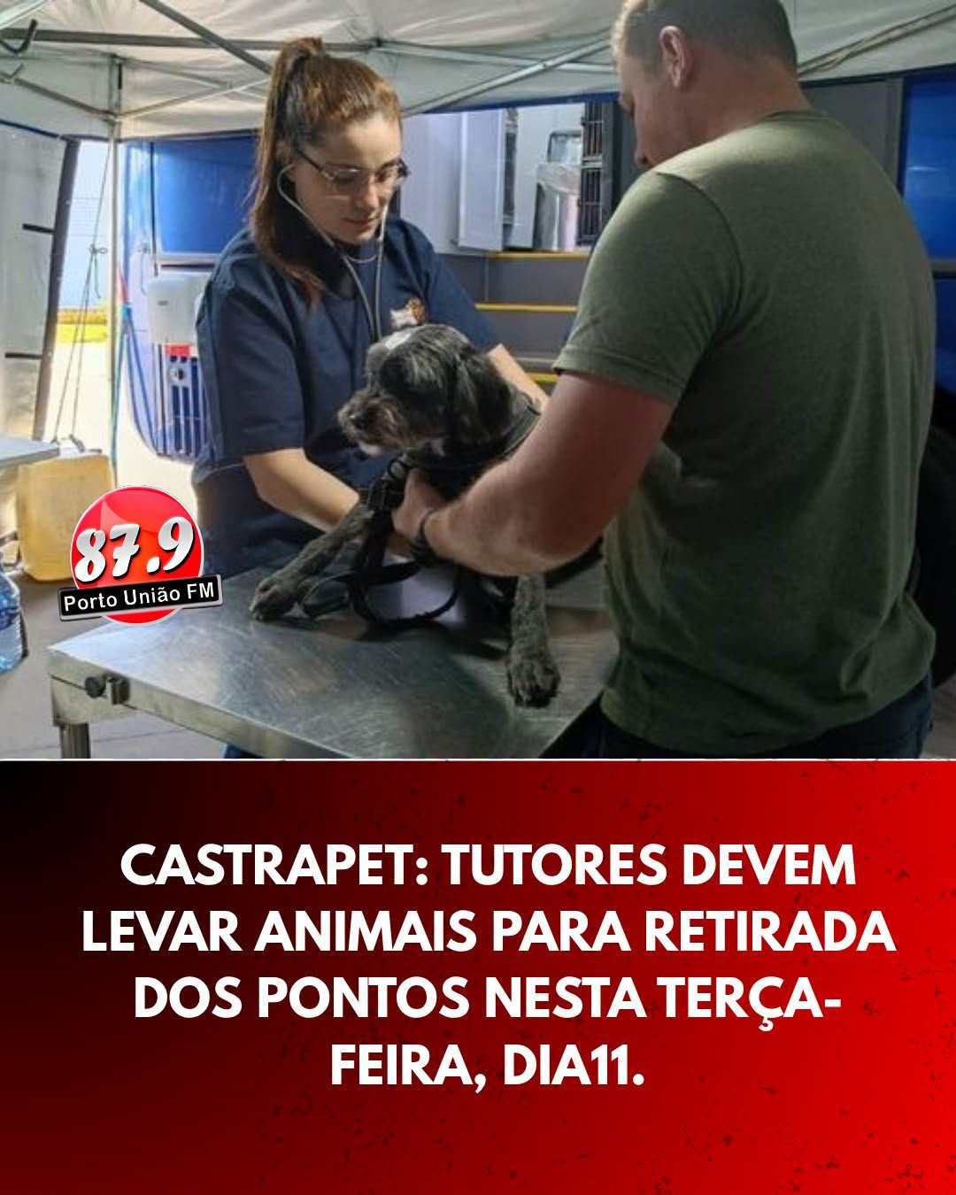 ​Castrapet: retirada dos pontos será realizada nesta terça-feira em União da Vitória